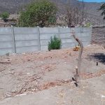 MURO PERIMETRAL 4