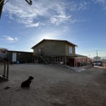 IMG_6805