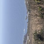 IMG_0290