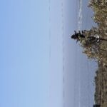 IMG_0307