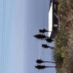 IMG_0320