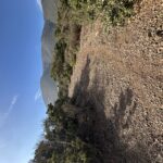 IMG_2753