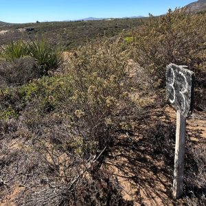 EXCLUSIVA PARCELA DE AGRADO CON VISTA AL MAR, OCHO QUEBRADAS, LOS VILOS
