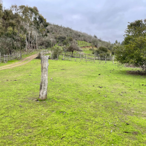 HERMOSA PARCELACIÓN, SECTOR LA HIGUERA, COMUNA LOS VILOS