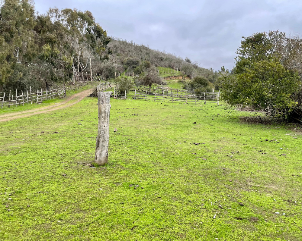HERMOSA PARCELACIÓN, SECTOR LA HIGUERA, COMUNA LOS VILOS