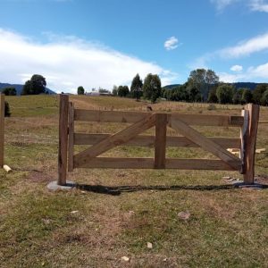 PARCELA DE AGRADO, COMUNA DE PUERTO OCTAY, OSORNO