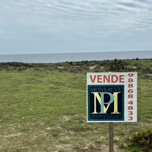 PARCELA EN VENTA, HUENTELAUQUÉN NORTE
